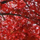 지리산의 아침 이미지