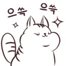 대전고양이분양 비비냥 이미지