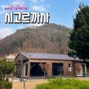 시고르까사 네이버블로그