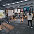 샘솟아핏 이미지