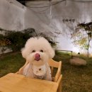 (주)오렌지여행 이미지
