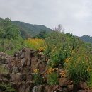 피아골주유소 이미지