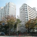 거원초교병설유치원 이미지