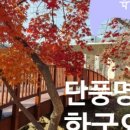 캠퍼스 당구클럽 이미지