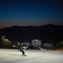 신아인터네셔날 이미지