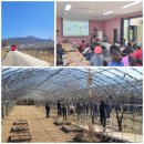 홍천군농업기술센터 | 홍천군농업기술센터 치유농업 현장견학 치유농장 꽃다비팜➡️원예특작과학원 텃밭(20분걸림) 치유농업교육