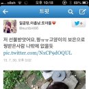 고양이의 보은 이미지