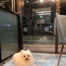 비밀 - 수성구 | 비밀