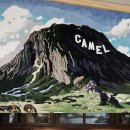 에프2호텔 이미지