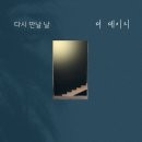 데이지365