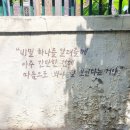 정감이마을 | 천호동 장미마을 아담한 골목길에 다녀온 후기