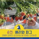 유일농장2 이미지