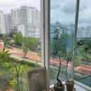 나의 작은 친구 반려돌 ; 스톤아트(금) | (세종시) 식물과 함께 살기, 반려식물 원데이 클래스 &#34;리브위드&#34; 내돈내산 솔직 후기