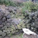 제주산업정보대학 이미지