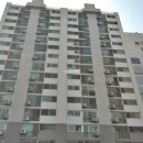 팬더아파트 이미지