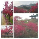 부남농장 이미지