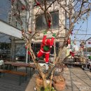 돌핀스 모텔 이미지