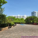 용의발광장 이미지