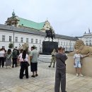 폴란드 바르샤바 잠코비(Zamkowy) 광장 이미지