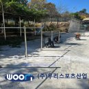 순천율산초등학교 이미지