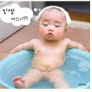 귀거래사 이미지