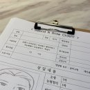 보라눈썹