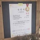 까레몽 | 대구 서구 평리동 빵집 까레몽 케이크 포장 후기