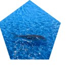 흥미회집 | 제주도 포장 횟집 추천 한림 현지인의 내돈내산 찐 후기