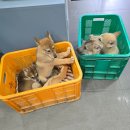 작고 소중해 이미지