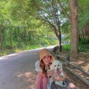 똥깡아지네 이미지