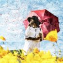 진 행정사 이미지