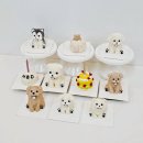 댕냥밥상 이미지