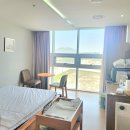 메종드 88 | 14주] 세종 산후조리원 상담후기 및 상세비교(연세,드이자르,봄날,르보아,메종플로라)(feat.긴 글 주의)