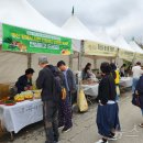 먹거리24 이미지