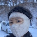 양평숲 비룡캠프장 이미지