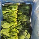 남해-300 이미지