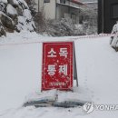 양영석농장 연합뉴스