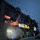 UR(경주시)-[동해안로]-하-12 | 경주 감포 맛집 철없는대게 내돈내산 후기
