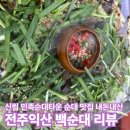 티타운빌딩 | 순대? 순천향대? 아니, 민속순대타운 순대맛집 내돈내산 솔직후기, 그리고 쟝블랑제리