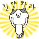 오토코리아세차광택 이미지