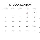 BOMAYE BOXING 이미지