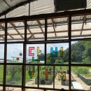 섬김농장 | <2025년 여름 농촌 활동> 리뷰 (연세대 20학번 박경덕) "통전적인 신앙을 위하여"