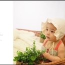 베리스튜디오 이미지