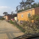 홍련지 영농조합법인 이미지