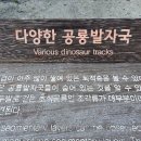 추도 부근