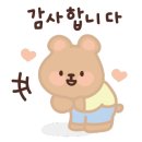 젤라꾸띠 이미지