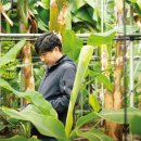 수열농장 이미지