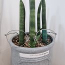 으뜸50안경 창원팔용점 이미지