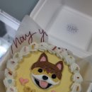 아반테이블 | [강아지수제케이크] 강서구 마곡역 아반테이블 강아지케이크 당일수령 후기