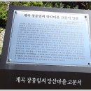 계곡 장흥임씨 당산마을 고문서 일괄 이미지